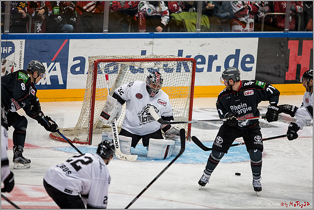 DEL, Koelner Haie - Nuernberg Ice Tiger, 24.01.2017